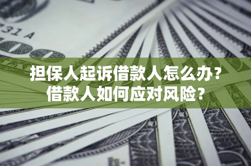 济南担保人起诉借款人怎么办？借款人如何应对风险？