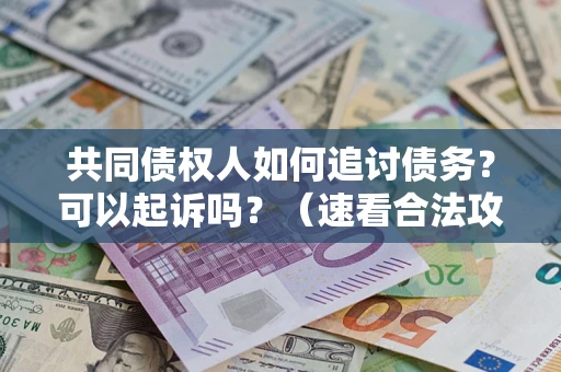 济南共同债权人如何追讨债务？可以起诉吗？（速看合法攻略）